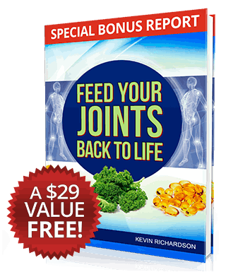 Arctic Blast Website Builder